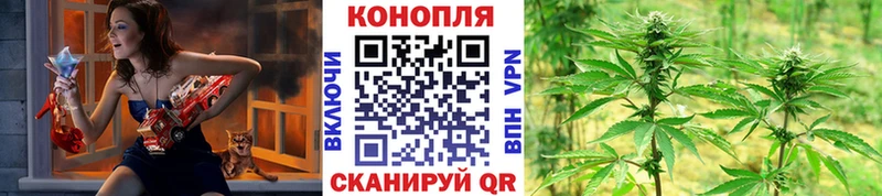 ссылка на мегу как войти  Новопавловск  Марихуана OG Kush 
